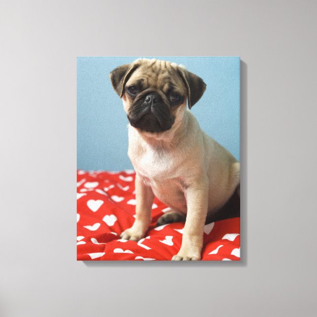 Pug marionett sitta på sängen canvastryck (Framsida)