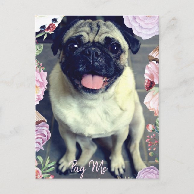 Pug Me - Lycklig Pug Vykort (Framsida)