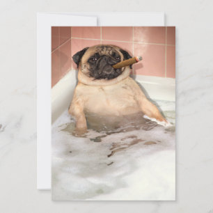 Pug med bubbelbad inbjudningar