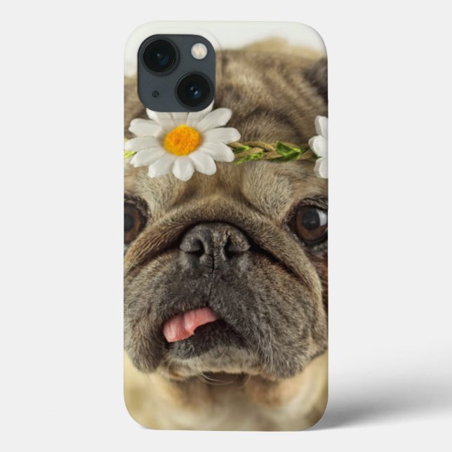 Pug med Daisy Krona (Baksida)