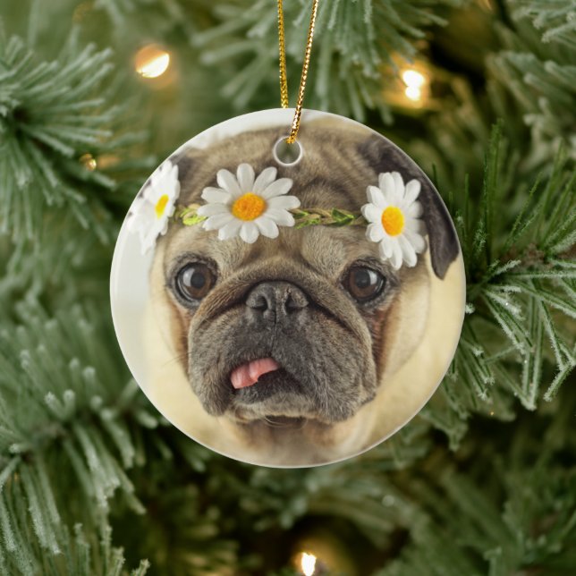 Pug med Daisy Krona Julgransprydnad Keramik (Träd)
