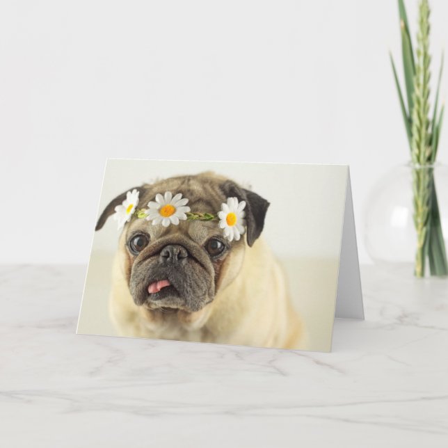 Pug med Daisy Krona Kort (Framsida)