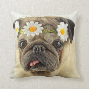 Pug med Daisy Krona Kudde