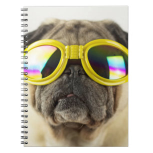 Pug med Goggles Anteckningsbok