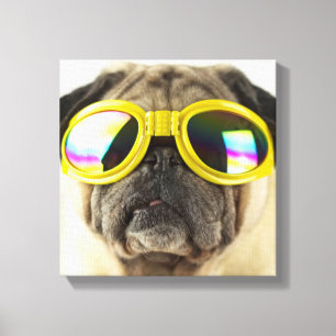 Pug med Goggles Canvastryck