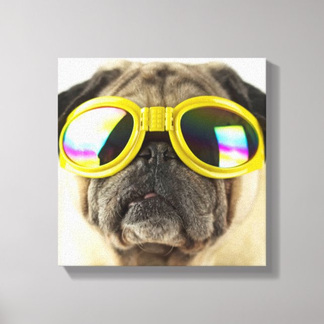 Pug med Goggles Canvastryck (Framsida)