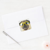 Pug med Goggles