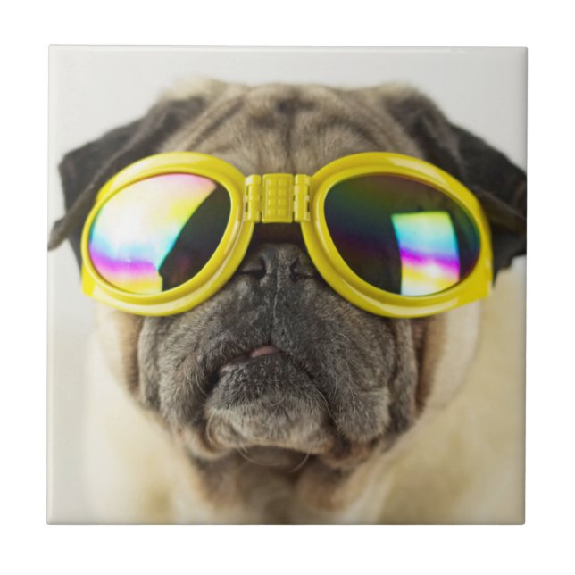 Pug med Goggles Kakelplatta (Framsidan)