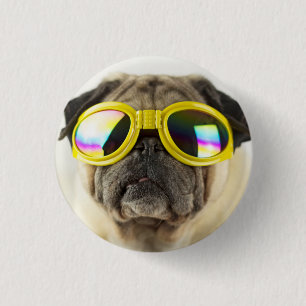 Pug med Goggles Knapp