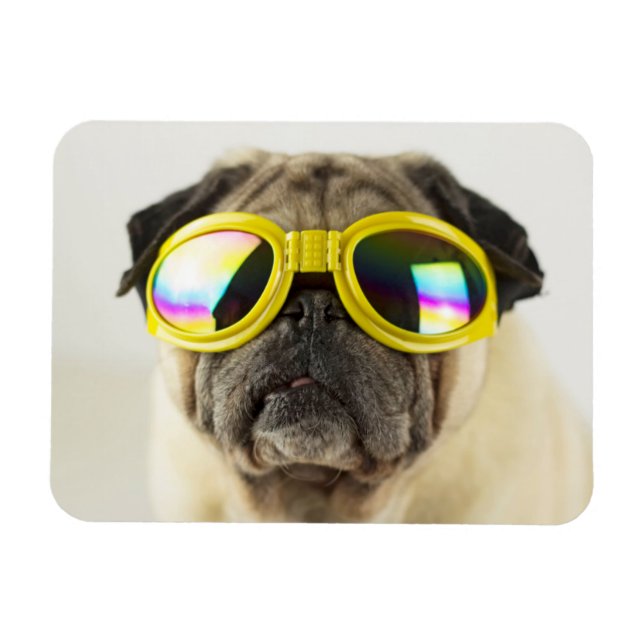 Pug med Goggles Magnet (Horisontell)