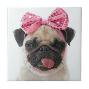 Pug med Rosa Bow Kakelplatta