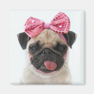 Pug med Rosa Bow Magnet