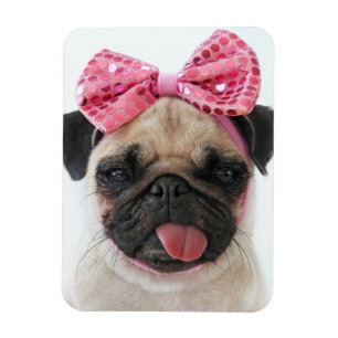 Pug med Rosa Bow Magnet