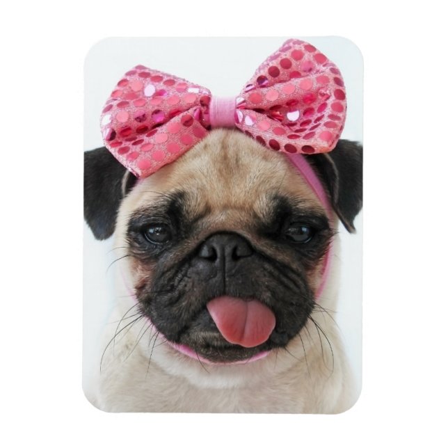 Pug med Rosa Bow Magnet (Vertikal)