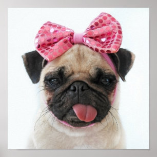 Pug med Rosa Bow Poster