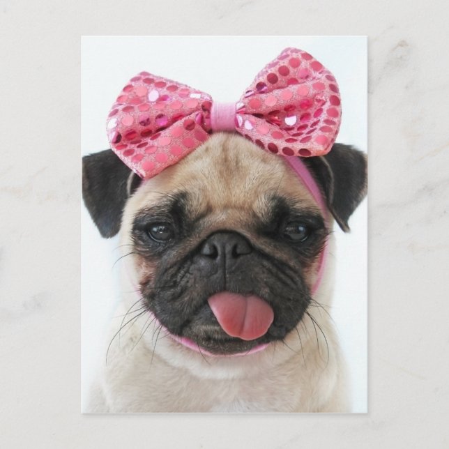 Pug med Rosa Bow Vykort (Framsida)