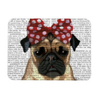 Pug med rött fack på huvudet