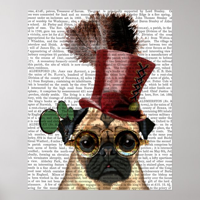 Pug med Steampunk Stil Top hat Poster (Framsidan)