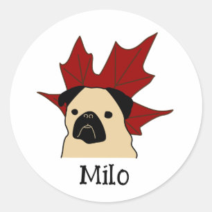 Pug med stor Löv Runt Klistermärke