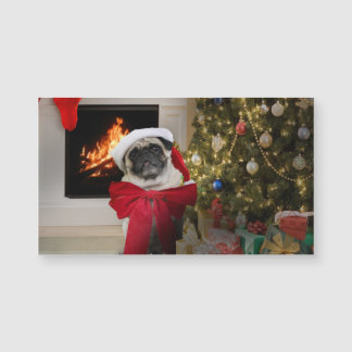 Pug Misha Väntar på julmorgon