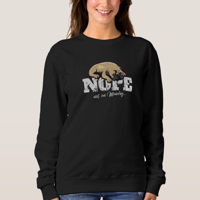 Pug Mops Carlin Hundras 15 T Shirt (Framsida)