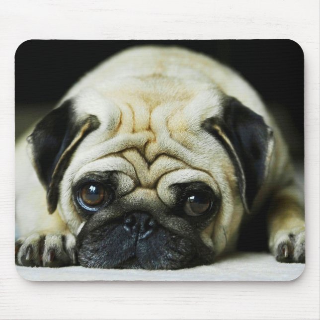Pug Musmatta (Framsidan)