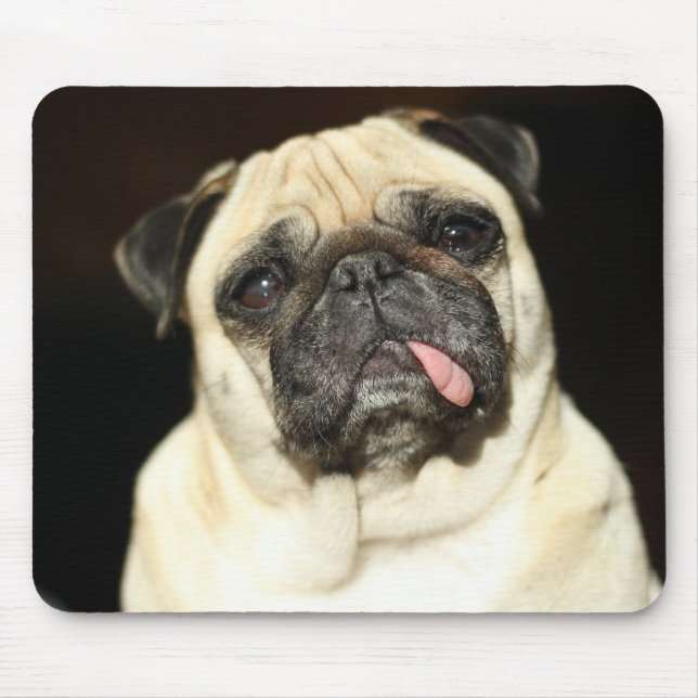 pug musmatta (Framsidan)
