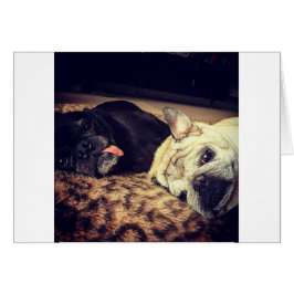 Pug Nap Hälsningskort