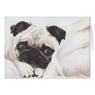Pug OBS Kort