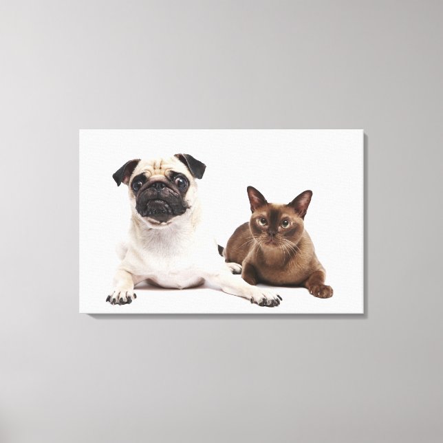 Pug och burmesiska katt canvastryck (Framsida)
