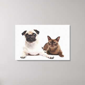 Pug och burmesiska katt canvastryck
