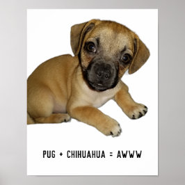 Pug och Chihuahua Cute Hund Puppy Breed Mix nånsin Poster