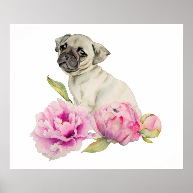 Pug och Peonies | Illustration av vattenfärg Poster (Framsidan)