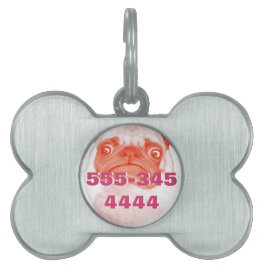 PUG_orange3.png ID-bricka Husdjur