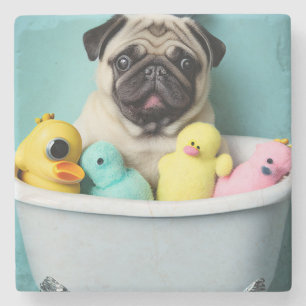 Pug Paradise: En baddräkt i Tub Stenunderlägg