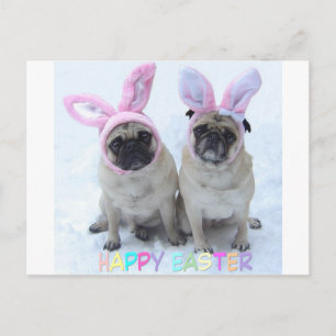 Pug Påskhare Helg Vykort