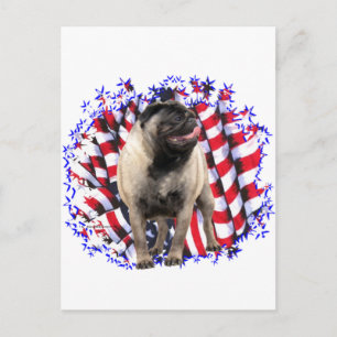 Pug Patriot Vykort