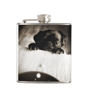 pug peeking in bw fickplunta