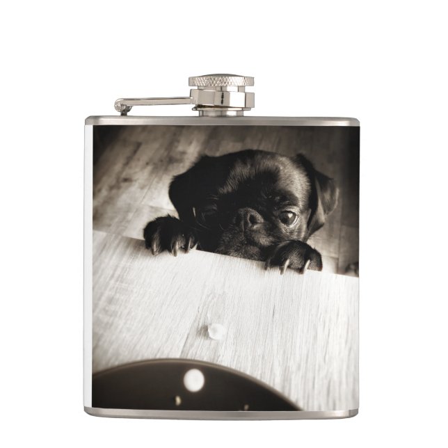pug peeking in bw fickplunta (Framsidan)