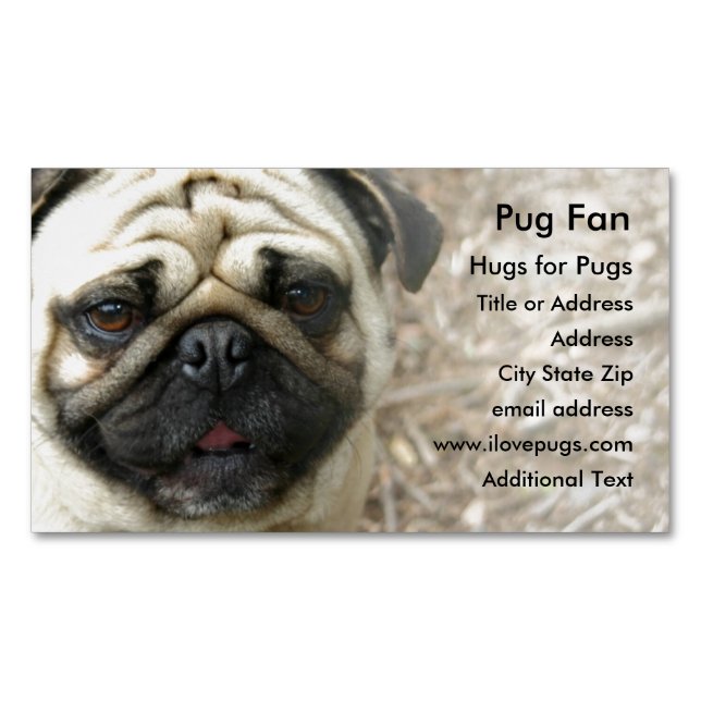 Pug Photo - Affärskortet Magnet (Framsida)