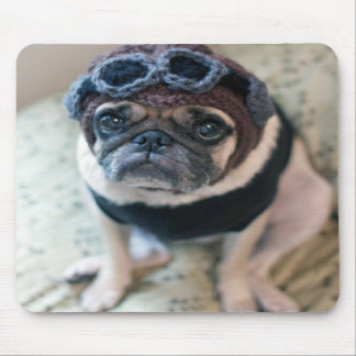 Pug Pilot Musmatta