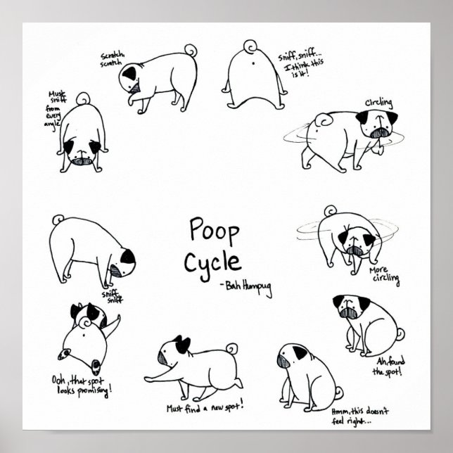 Pug Poop Cycle Poster (Framsidan)