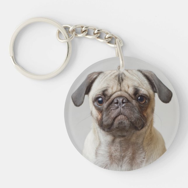 Pug Porträtt (Framsidan)