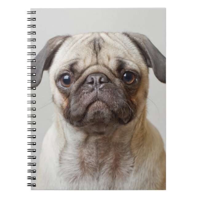Pug Porträtt Anteckningsbok (Framsidan)