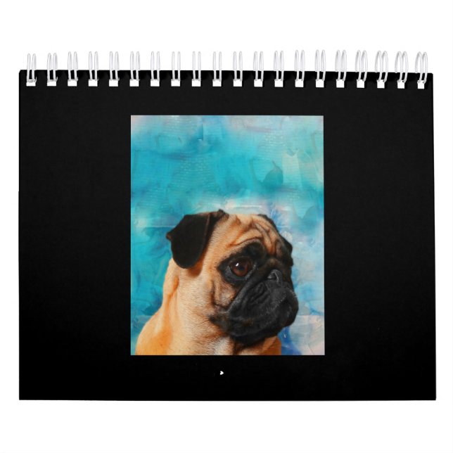 Pug Porträtt Cute Pug Ansikte Pug Älskare Kalender (Omslag)