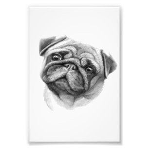 Pug Porträtt Cute Pug Hund Ansikte Fototryck
