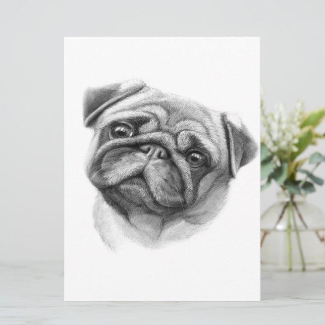 Pug Porträtt | Cute Pug Hund Ansikte Meny (Stående Fram)