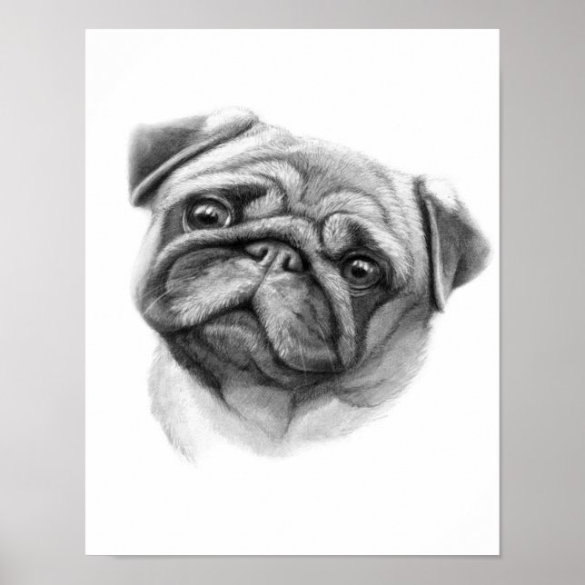 Pug Porträtt | Cute Pug Hund Ansikte Poster (Framsidan)