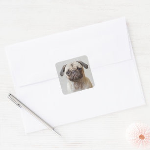 Pug Porträtt Fyrkantigt Klistermärke