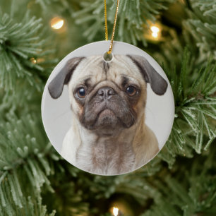 Pug Porträtt Julgransprydnad Keramik
